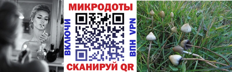 Галлюциногенные грибы MAGIC MUSHROOMS  где купить наркоту  omg вход  Валдай 