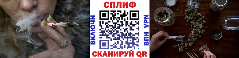Канабис сатива  где купить наркоту  Валдай 